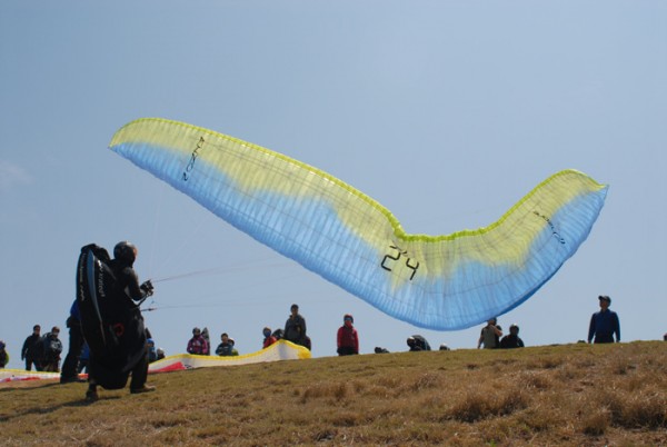 62765be92e15bb84fc92ef07055da8aa_1595470211_997.jpg