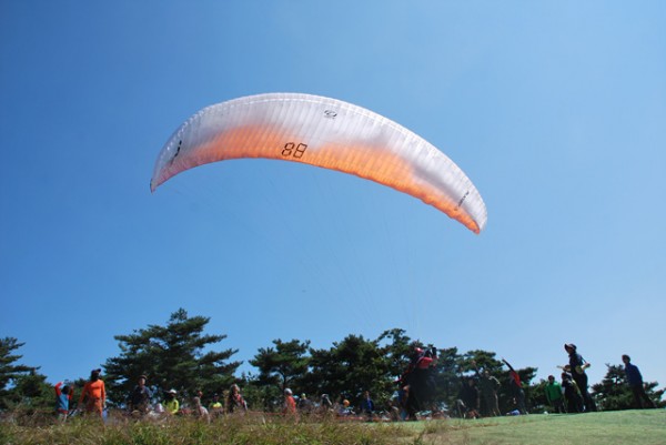 62765be92e15bb84fc92ef07055da8aa_1595470608_2887.jpg