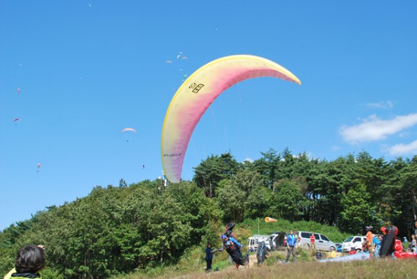 62765be92e15bb84fc92ef07055da8aa_1595470663_5999.jpg