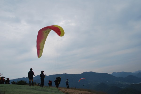 62765be92e15bb84fc92ef07055da8aa_1595470699_3747.jpg