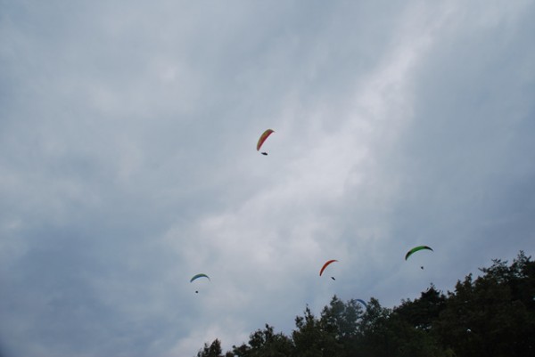 62765be92e15bb84fc92ef07055da8aa_1595470700_7331.jpg